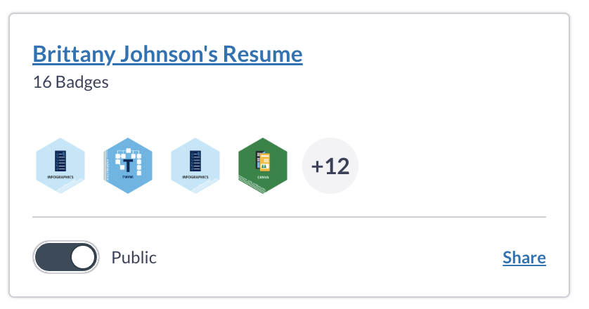 Badge toggle to make portfolio public