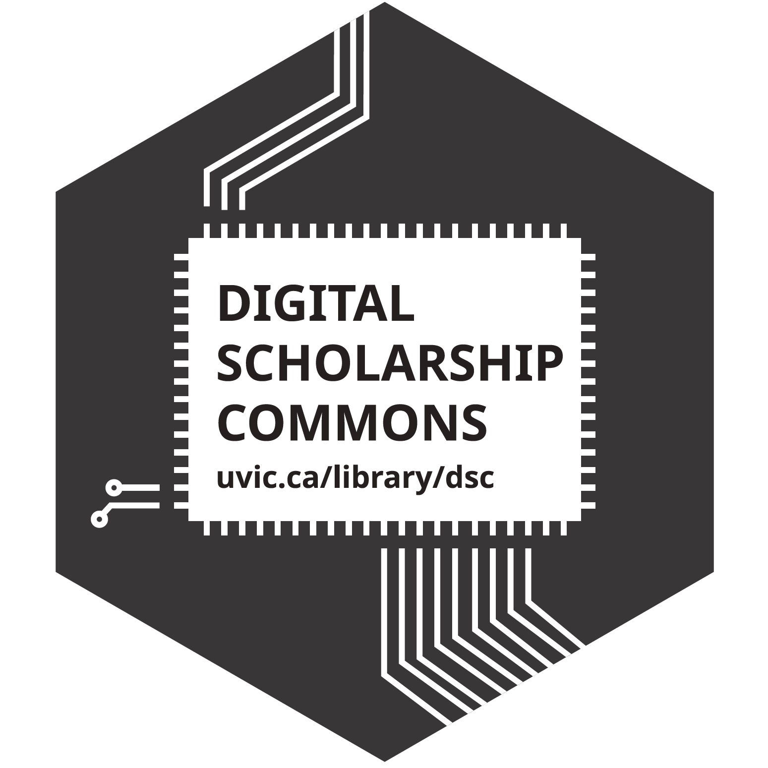 DSC Logo