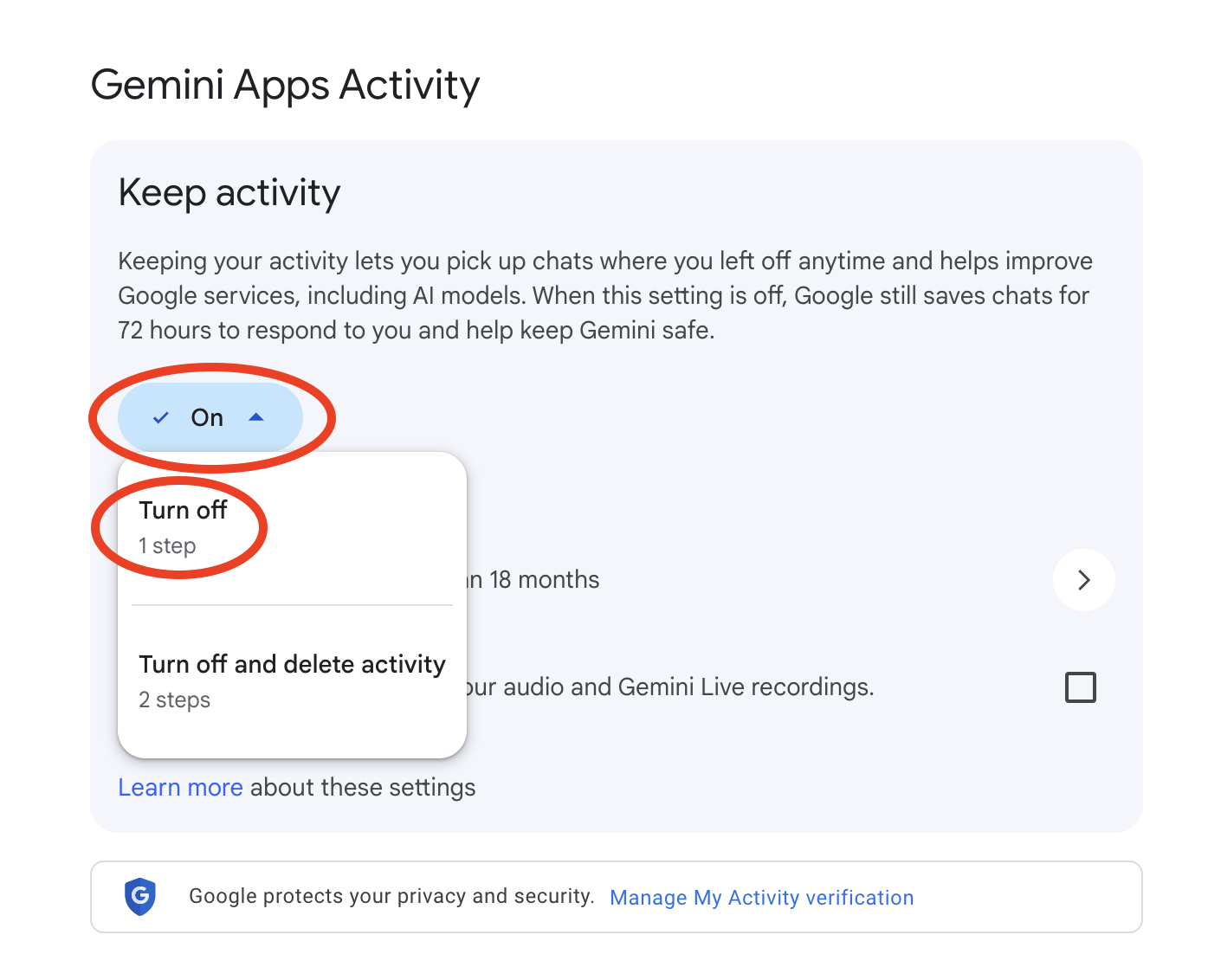 Gemini privacy screenshot showing privacy options