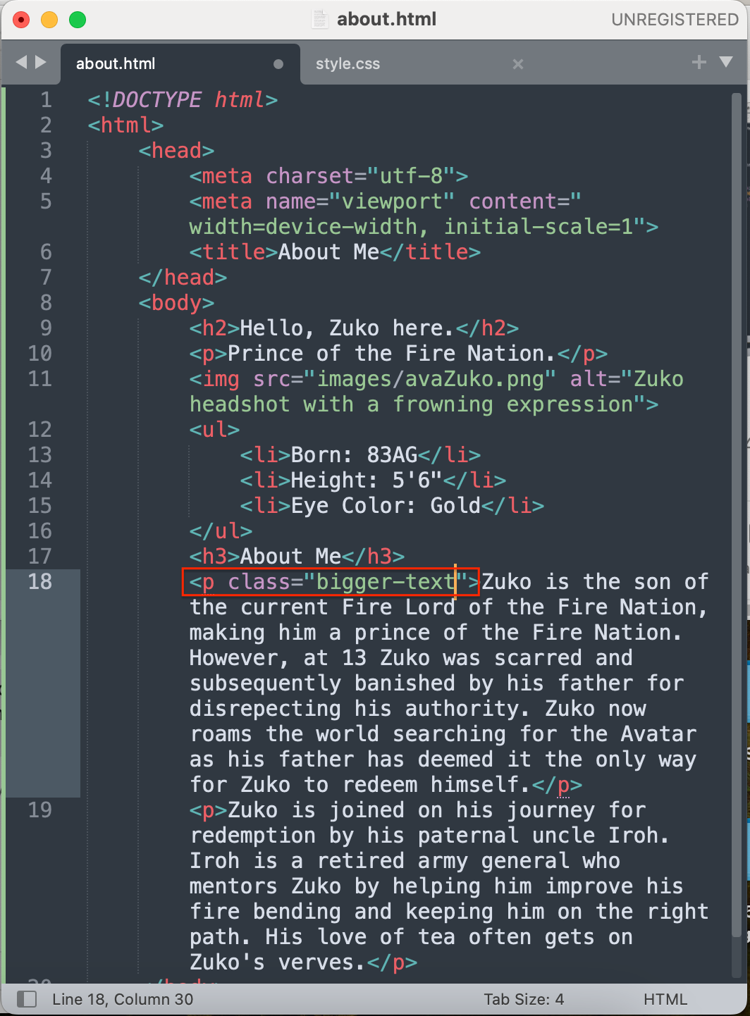 HTML class example