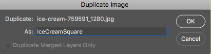 duplicate name