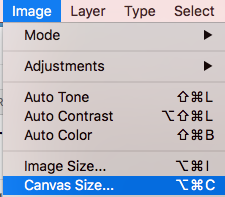 canvas size