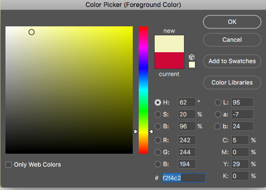 paint bucket tool
