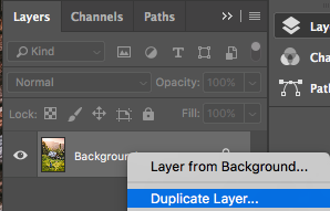 duplicate option