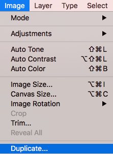 duplicate button