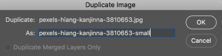 duplicate options