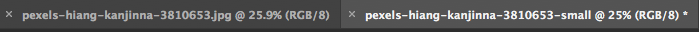 duplicate options