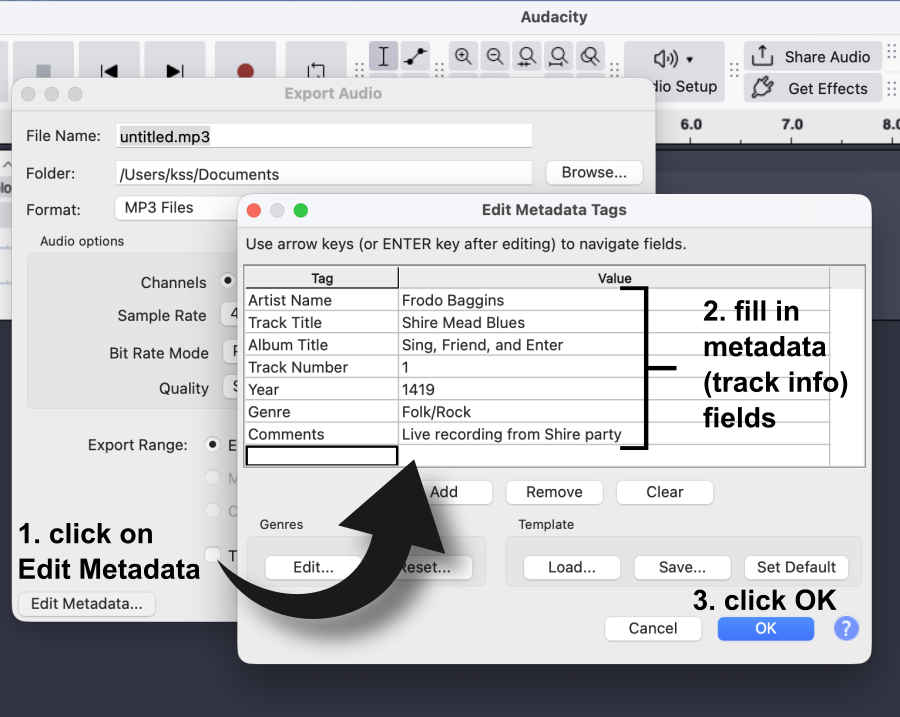Audacity's edit metadata process