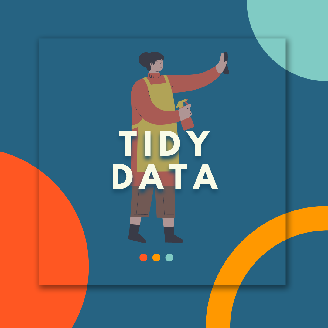 Tidy Data Workshop Logo